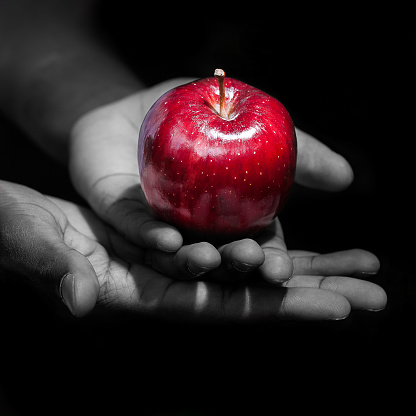 Sosteniendo una manzana roja, los frutos prohibidos photo