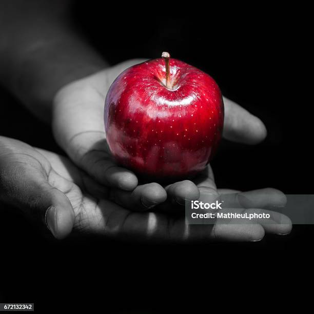 Sosteniendo Una Manzana Roja Los Frutos Prohibidos Foto de stock y más banco de imágenes de Manzana