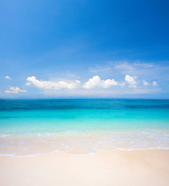 istock beach and tropical sea 672133218