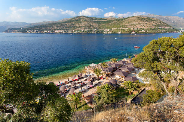 adria - strand in dubrovnik (babin kuk, lapad), dalmatien, kroatien - europe pine tree sea adriatic sea stock-fotos und bilder