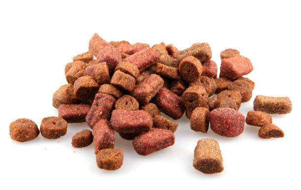 istock Dried dog food 672137124