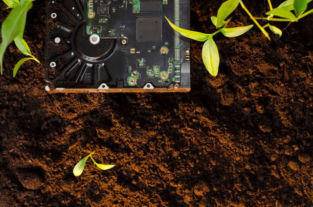 Ecology and technology concept Ecology and technology concept/e-waste, technology becoming natural e waste photos stock pictures, royalty-free photos & images