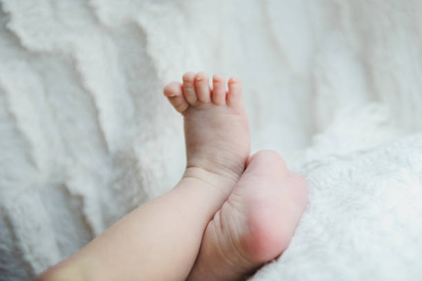 istock Toddler's feet. Baby's feet. 672156484