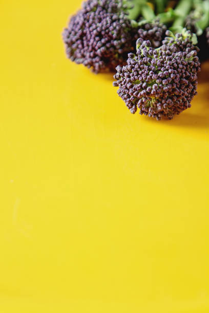 brócolis roxo fresco em uma placa amarela. fundo escuro. - 3693 - fotografias e filmes do acervo
