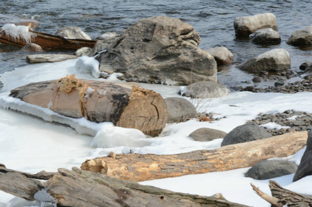 An abstract view of winter scenery along the shoreline of the Upper Mississippi River, in central Minnesota.
