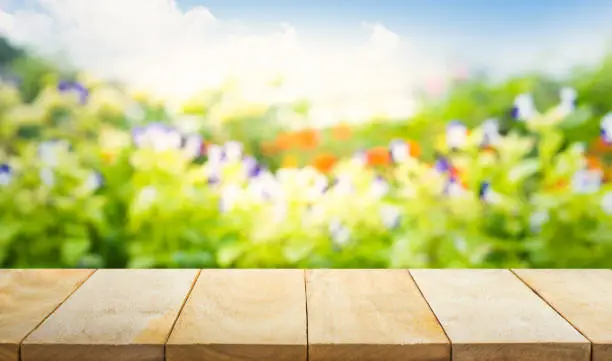 Wood table top on blur tree,garden in morning background .summer,nature concepts