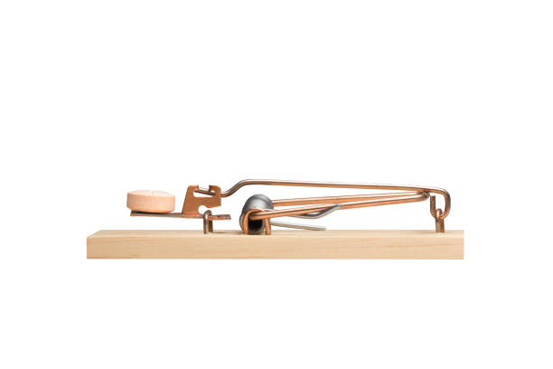 istock Orange Pill in a Mousetrap 672169046