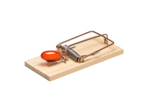 istock Orange Gelatin Capsule in a Mousetrap 672169070