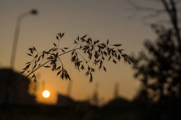 istock Sunrise over the town. 672169460