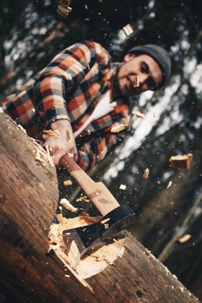 istock Serious lumberjack in a plaid ruach and hat is chopping a big tree with an ax 672169482