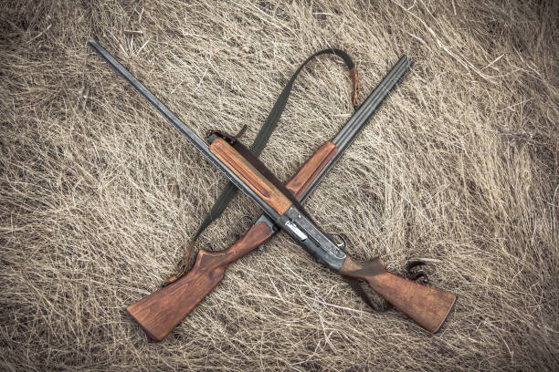 istock Crossed hunting shotguns on dry grass on haystack as hunting background 672173356