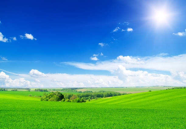 istock green field and blue sky 672175914