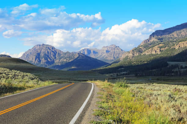 istock Empty Road at Lamar Valley in Yellowstone National Park 672176540