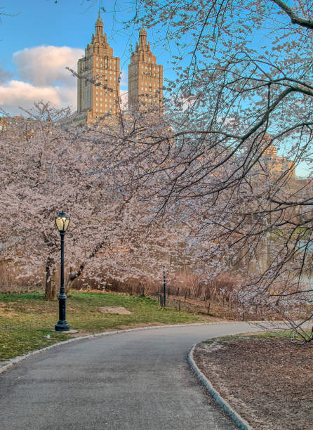 istock Central Park, New York City 672195504