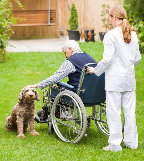 Elderly care Photo of young carer helping the elderly woman insurance pets dog doctor stock pictures, royalty-free photos & images