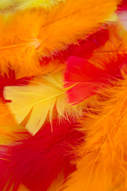 istock Yellow,Red and Orange craft feathers background 672198716
