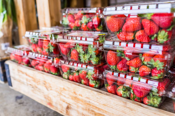 Closeup of many strawberries in plastic boxes on display in wooden crate stock photo