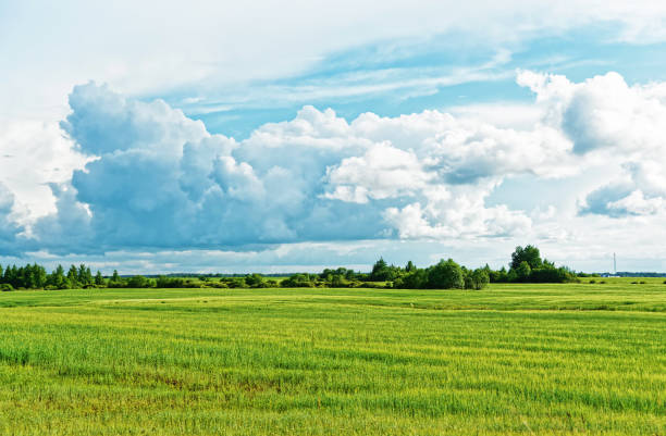 istock Rural landscape with field and sky with dramatic clouds 672213994