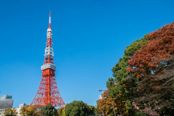 istock Tokyo Tower under clear blue sky, Japan 672237068