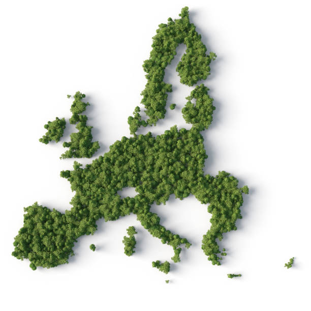 Forest in europe union map shape stock photo