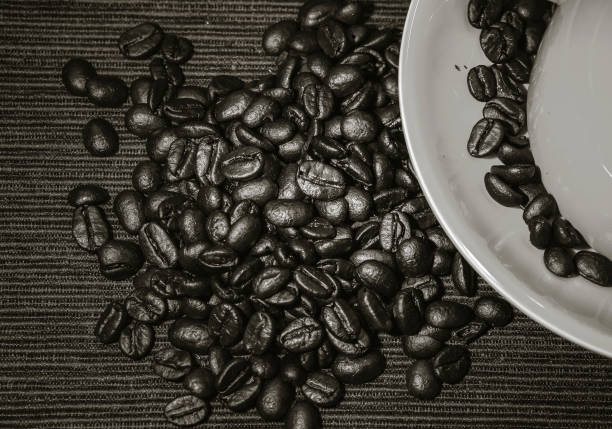 coffee bean close up in B&W color