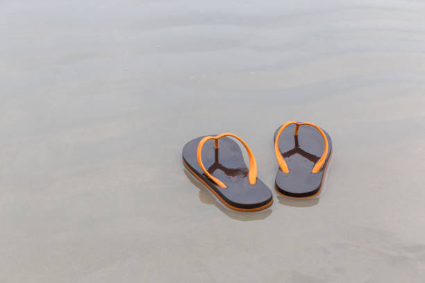 brown flip-flops on sandy ocean beach, summer and vacation concept. - sandy brown fotos imagens e fotografias de stock