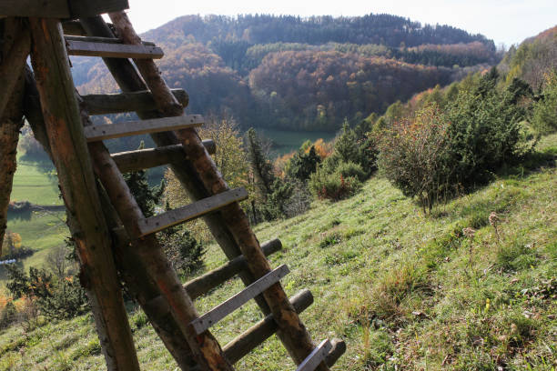 blue sky fits perfect to colors of autumn with hunter tree stand as well as bright colors of leafs and trees of season