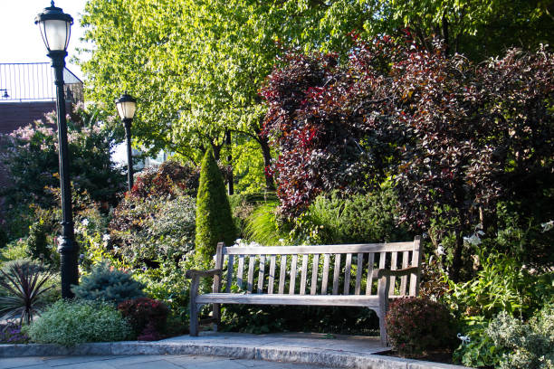 istock Wood bench and light pole in the park 672288690
