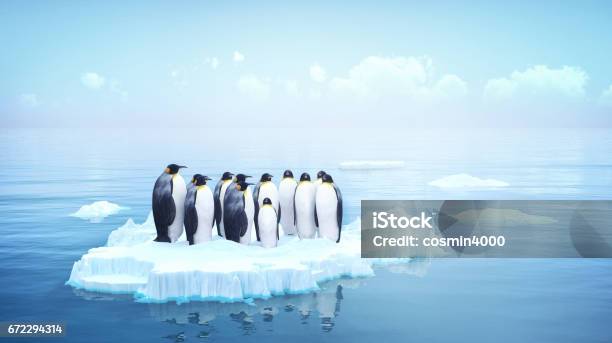 Photo libre de droit de Penguins banque d'images et plus d'images libres de droit de Manchot - Manchot, Glace, Iceberg - Bloc de glace