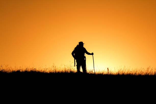 istock Silhouette Of People having fun at sunset time 672297936