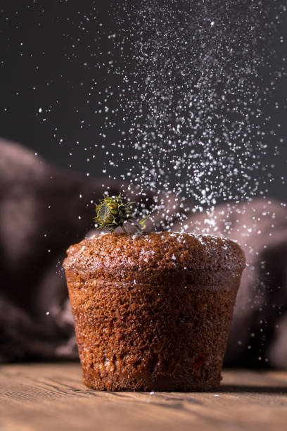 istock Chocolate muffin on a wooden table 672298620