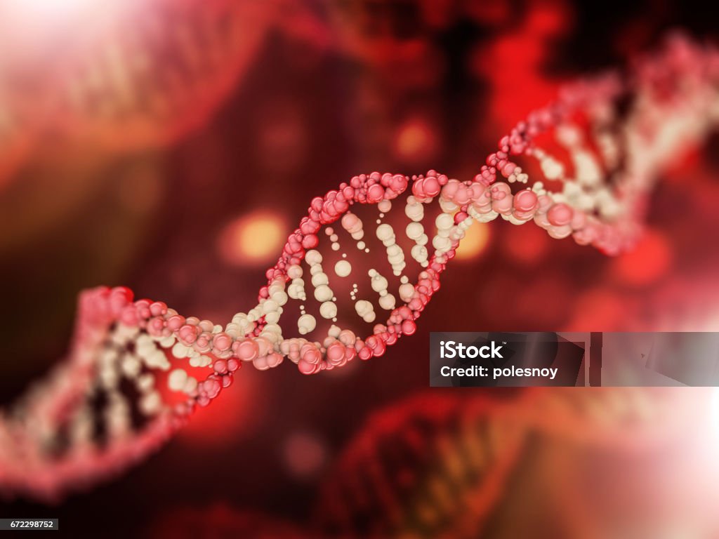 Dna 모델의 디지털 그림입니다 3 차원 렌더링 DNA에 대한 스톡 사진 및 기타 이미지 - DNA, 실-제작물, 아름다움 ...