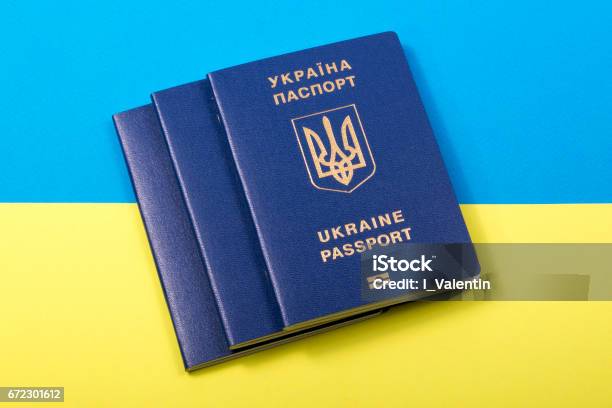 Ukrainische Biometrische Pässe Vor Dem Hintergrund Der Ukrainischen Flagge Stockfoto und mehr Bilder von Ukraine
