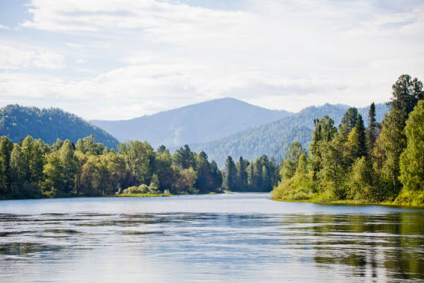 istock Biya river landscape. Altai 672308940