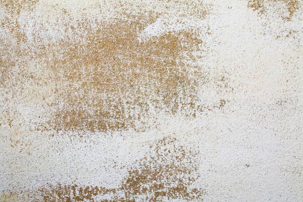 concrete wall texture background. stock photo