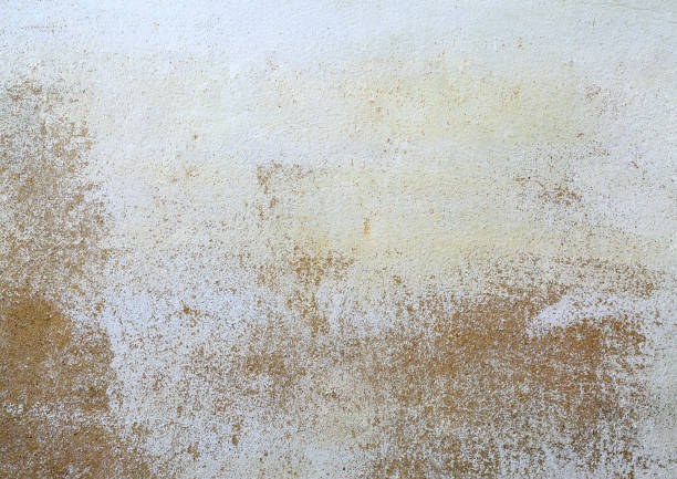 concrete wall texture background. stock photo