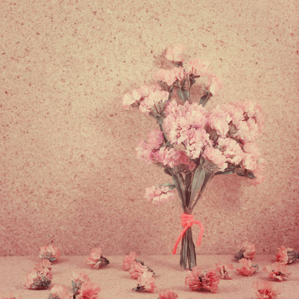 istock Beautiful flowers with Soft Focus and color filters 672312962