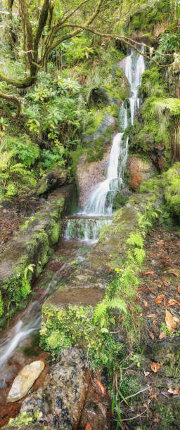 istock Amazing Madeira waterfall landscape 672313580