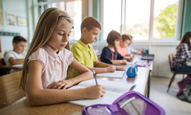 istock Elementary schoolgirl writing at the desk in the classroom. 672314018