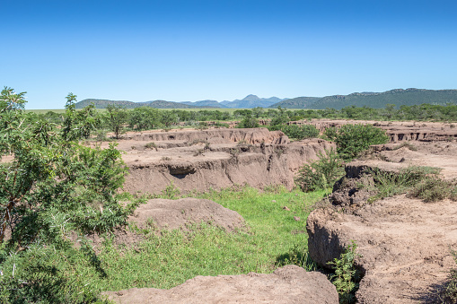 Soil erosion landscape due to deforestation