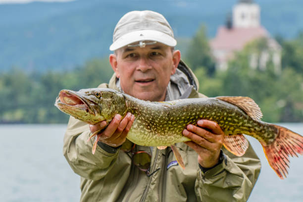 istock Fisherman showing off a fish he caught 672320744