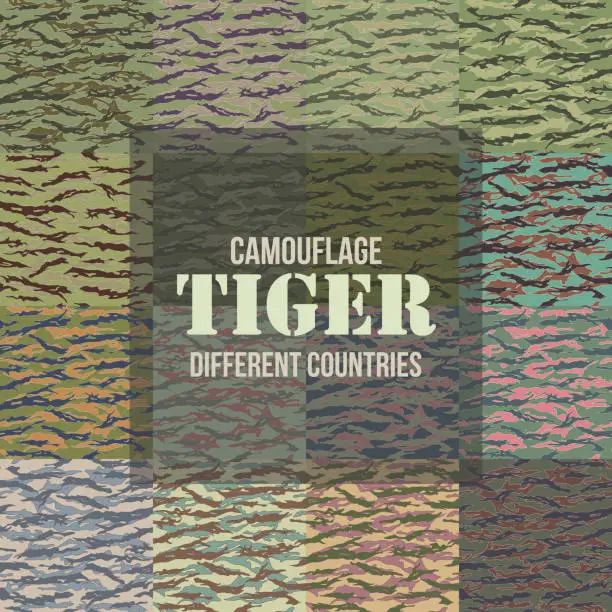 Vector illustration of Tiger stripe Camouflage seamless patterns