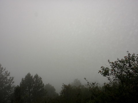 Appalachian Trail Maker on Round Bald on foggy morning