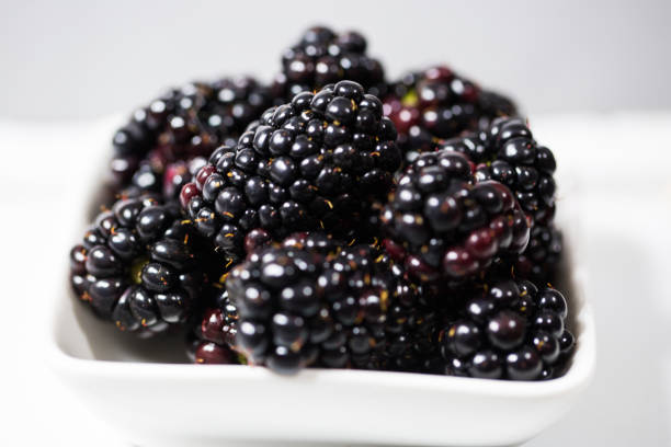 istock Blackberries in a bowl, gray background 672332840