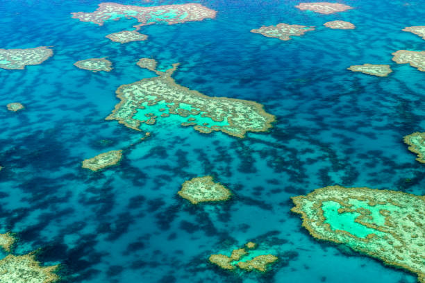 istock Aerial view of the Great Barrier Reef 672340232