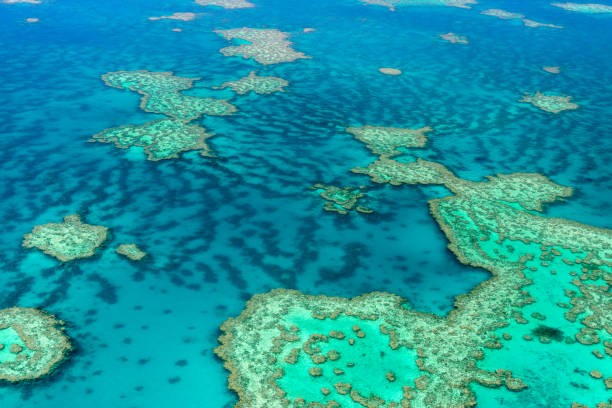 istock Aerial view of the Great Barrier Reef 672340358