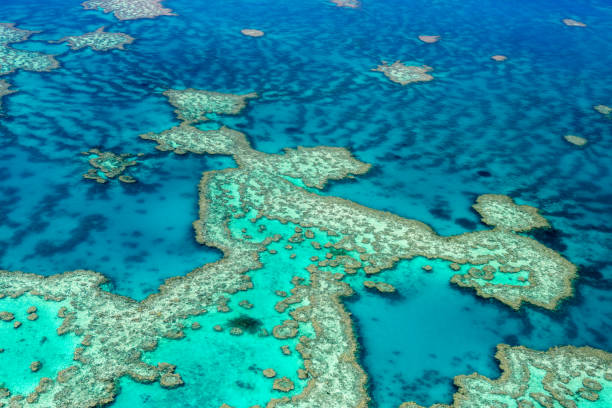 istock Aerial view of the Great Barrier Reef 672340462
