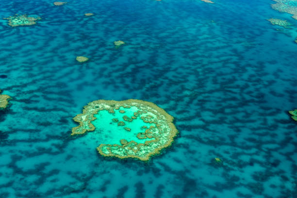 istock Aerial view of the Great Barrier Reef 672342638