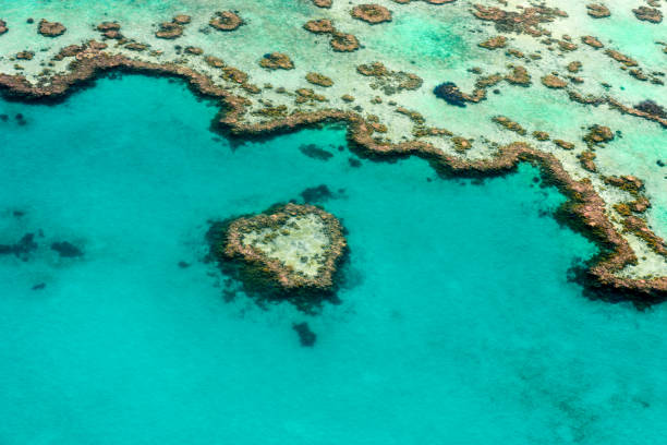 Aerial view of the Heart reef Aerial view of the Heart reef great barrier reef marine park stock pictures, royalty-free photos & images
