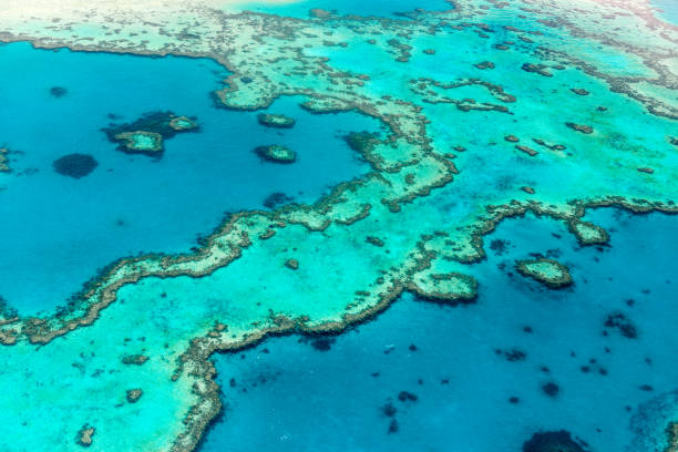 istock Aerial view of the Great Barrier Reef 672343146